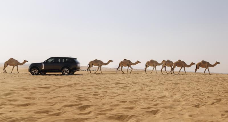 Range Rover Electric : derniers tests dans le désert avant son arrivée en 2025 - Le futur Range Rover Electric s'amuse dans le désert d'Al Badayer, aux Émirats arabes unis.